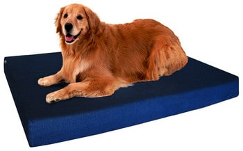 DogBed4Less Memory Foam Bed for Arthritis