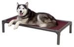Kuranda elevated dog bed for chewers 
