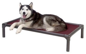Kuranda Large Elevated Dog Bed Review