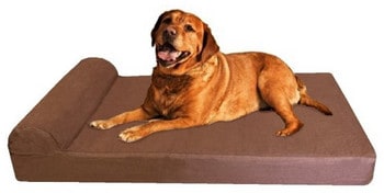 Dogbed4less Memory Foam Large Bed Review