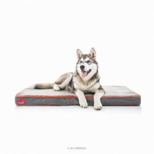 Brindle Chew Proof Indestructible Dog Bed Review