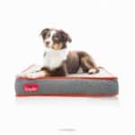 Brindle Tear Resistant Non Chewable Dog Bed