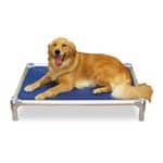 Kuranda Durable Dog Beds