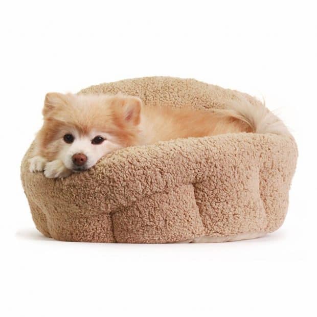 Best Friends by Sheri Deep Dish Ortho Comfort Cuddler Review
