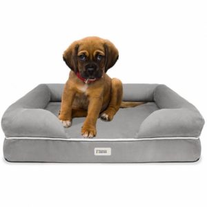 Friends Forever Orthopedic Dog Bed Premium Best Dog Beds For Small Dogs