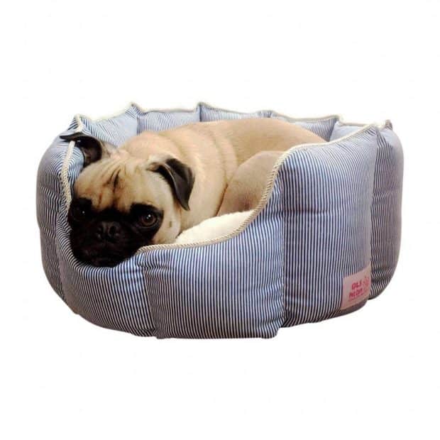 Good Life Solutions Luxury Pet Bed Review