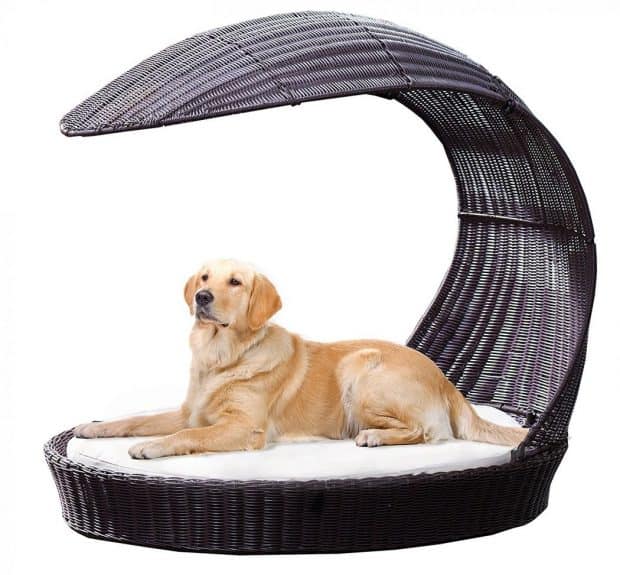 Outdoor Dog Chaise Bed n Espresso
