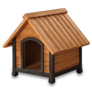 Arf Frame Best Dog House Review