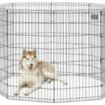 MidWest Homes for Pets Foldable Metal Exercise Pen