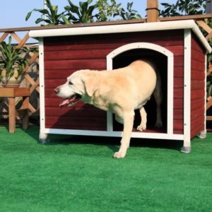 Petsfit Dog House Review