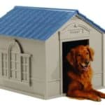 Suncast DH350 Best Dog House