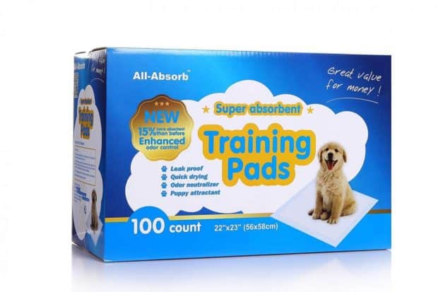 All Absorb Training Pads
