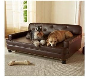 Top 5 Best Dog Sofas and Chairs 2022 Reviews & Buyer's Guide