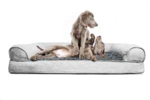 FurHaven Orthopedic Dog Couch