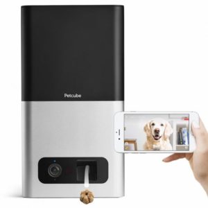 Petcube Bites Pet Camera & Treat Dispenser Review