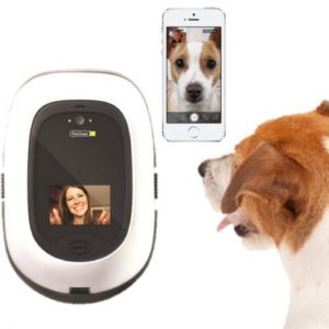 PetChatz Pet Camera & Treat Dispenser Review