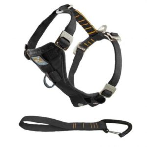 Kurgo Tru-Fit Crash Tested Dog Harness