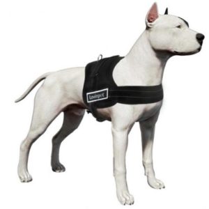 LovinPet Large Dog Harness No Pull