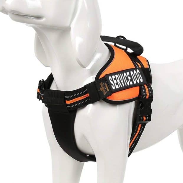 Chai's Choice Service Dog Vest Harness for Golden Retrievers