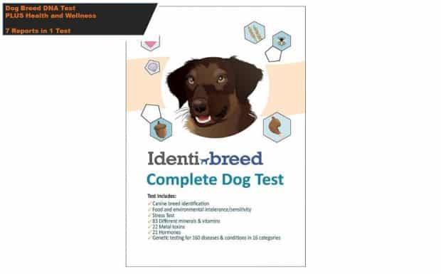 IdentiBreed Dog Breed Test