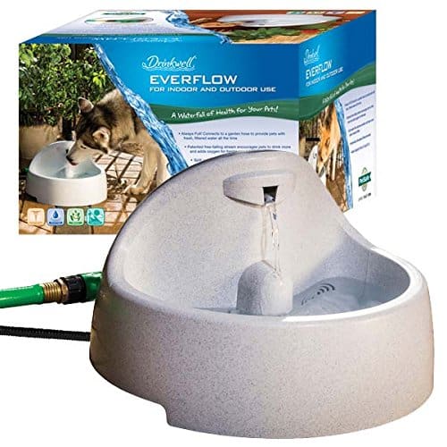 PetSafe Drinkwell Everflow Indoor/Outdoor Water Fountain