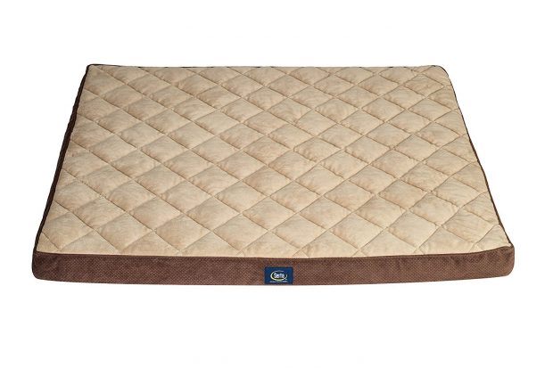 Serta Ortho Quilted Pillowtop Pet Bed