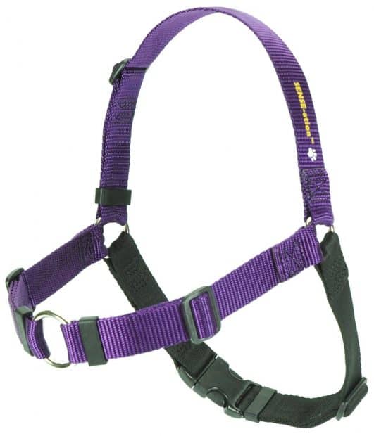 The Original SENSE-ation No-Pull Dog Training Harness