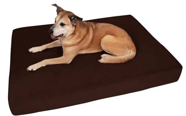 Big Barker 7 Pillow Top Orthopedic Dog Bed for Labs