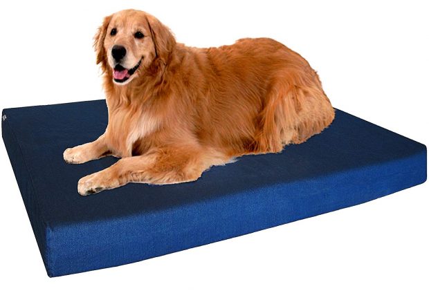 Dogbed4less XL Premium Orthopedic Memory Foam Dog Bed