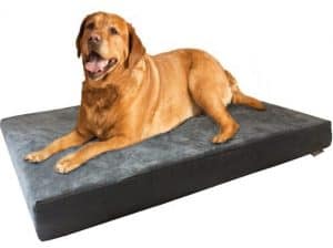 Dogbed4less Extra Large Orthopedic Premium Memory Foam