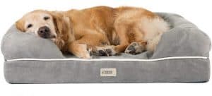 Friends Forever Premium Orthopedic Dog Bed Golden Retriever
