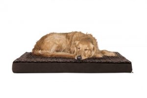 FurHaven Deluxe Orthopedic Dog Bed Golden Retriever