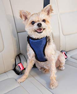 PetSafe Deluxe Car Safety Dog Harness 