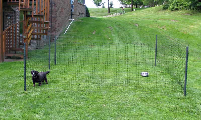 How to Install a Wireless Dog Fence