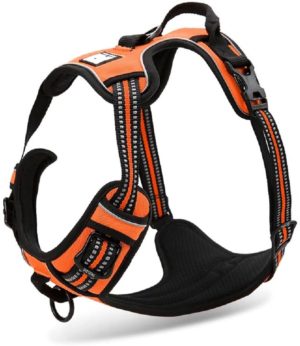 Chai’s Choice Best Outdoor Adventure Dog Harness